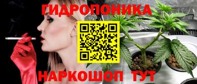 ГАЛЛЮЦИНОГЕННЫЕ ГРИБЫ Тверь