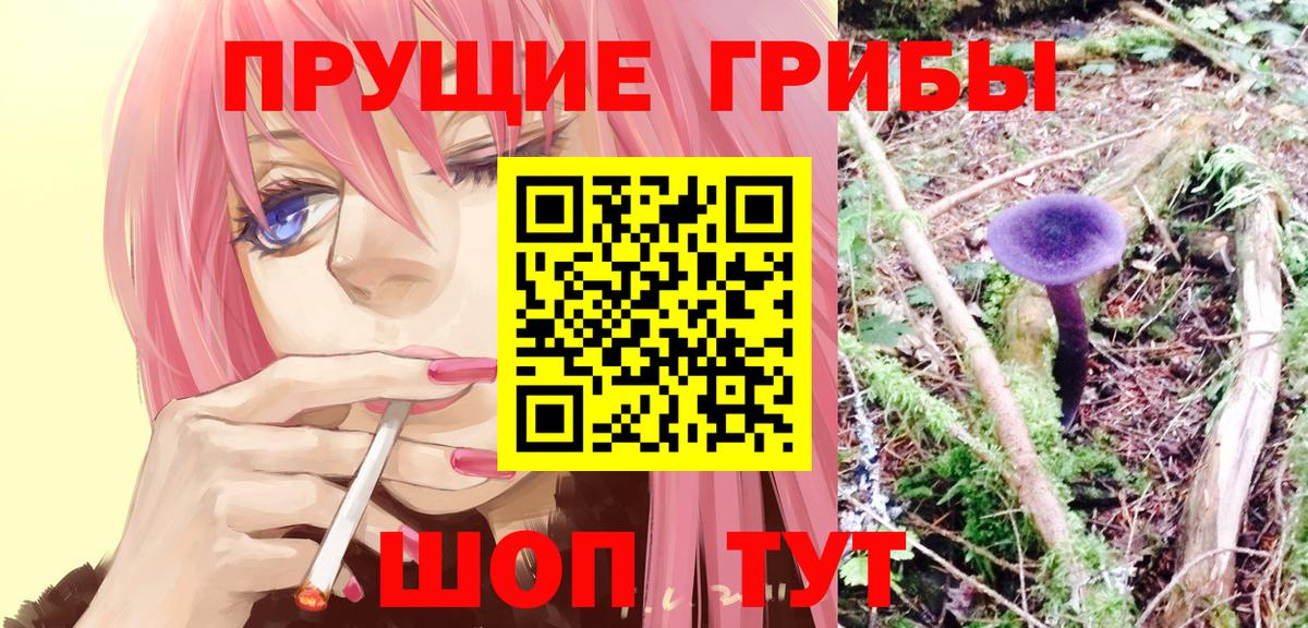 Галлюциногенные грибы мицелий Мыски